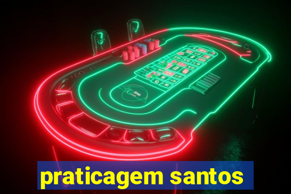 praticagem santos